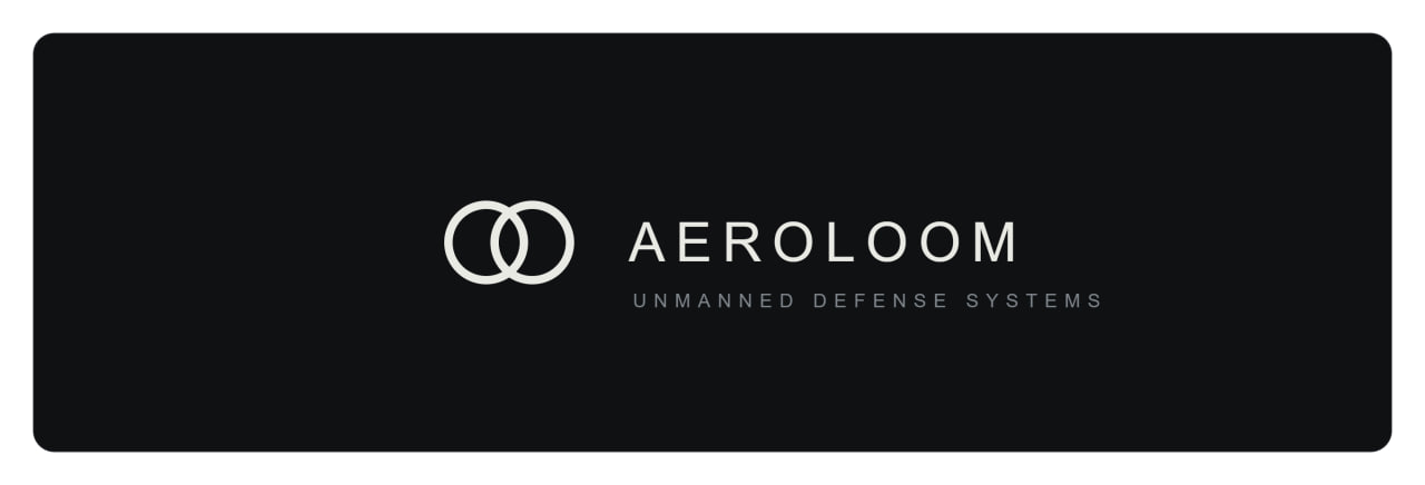 Aeroloom LT-CUAS system